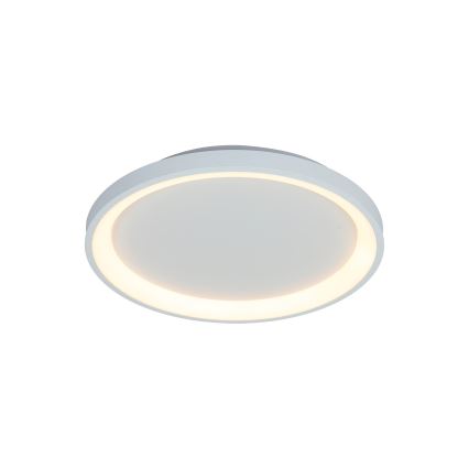 Brilagi - LED Dimeriuojamas lubų šviestuvas FALCON SLIM LED/42W/230V 3000-6500K skersmuo 50 cm balta + nuotolinis pultas