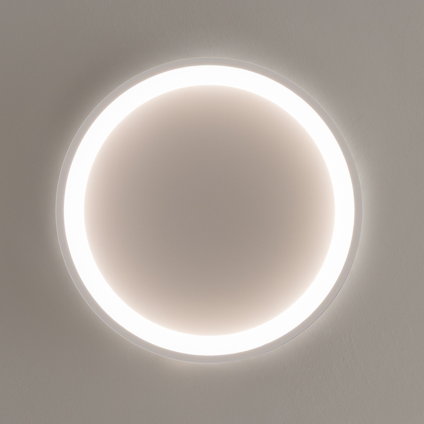 Brilagi - LED Dimeriuojamas lubų šviestuvas FALCON SLIM LED/42W/230V 3000-6500K skersmuo 50 cm balta + nuotolinis pultas