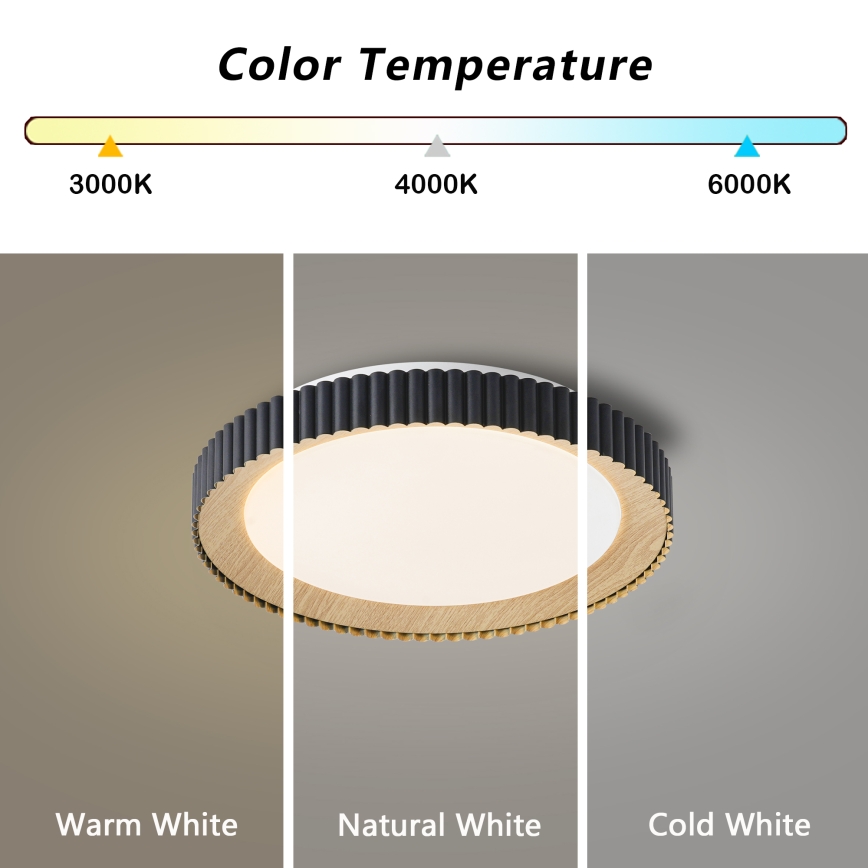 Brilagi - reguliuojamas LED lubų šviestuvas NEXO LED/48W/230V 3000-6000K juodas skersmuo 43 cm + nuotolinis valdymas
