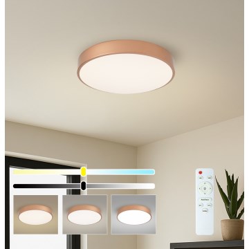 BRILAGI - dimeriuojamas LED lubų šviestuvas POOL LED/48W/230V 3000-6000K Ø 40 cm bronzinis + nuotolinis valdymas