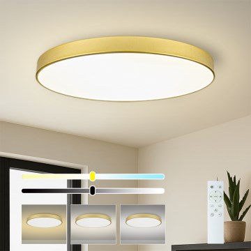 Brilagi - dimeriuojamas LED lubų šviestuvas POOL SMART LED/128W/230V 3000-6000K 100 cm auksinis Wi-Fi Tuya + nuotolinis valdymas