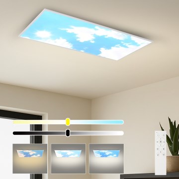 Brilagi - Dimeriuojamas LED lubų šviestuvas SLIMFRAME SKY LED/80W/230V 120x60 cm 3000-6000K sidabrinė/mėlyna + nuotolinis valdymas