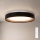 Brilagi - dimeriuojamas LED lubų šviestuvas WALDO LED/48W/230V 3000-6500K skersmuo 40 cm juoda/auksinė + nuotolinio valdymo pultas