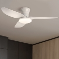 Brilagi - dimeriuojamas LED lubų ventiliatorius LED/30W/230V 3000-6500K balta + nuotolinis valdymas
