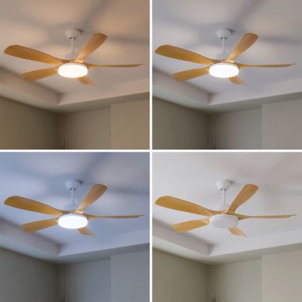 Brilagi - reguliuojamas LED lubų ventiliatorius LED/34W/230V 3000-6500K Ø132 cm balta/ruda + nuotolinis valdymas