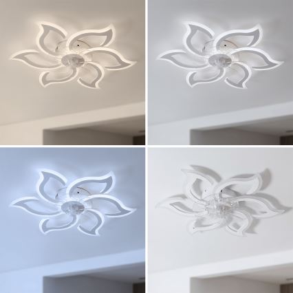 Brilagi - LED reguliuojamas lubinis ventiliatorius LED/34W/230V 3000-6500K skersmuo 83 cm balta + nuotolinis valdymas