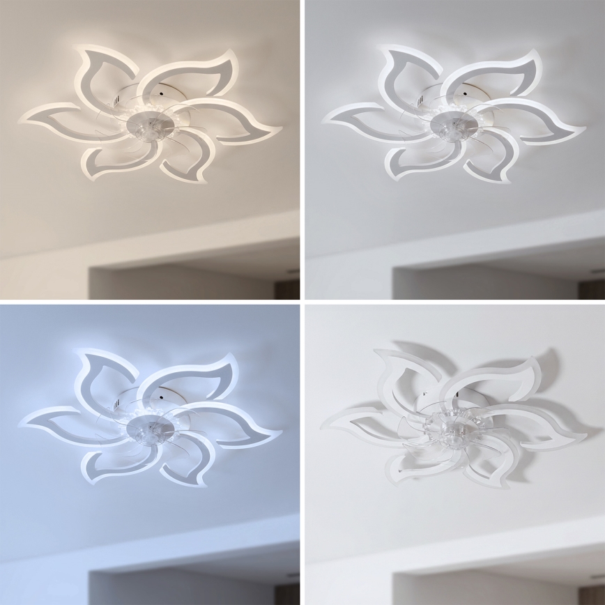 Brilagi - LED reguliuojamas lubinis ventiliatorius LED/34W/230V 3000-6500K skersmuo 83 cm balta + nuotolinis valdymas