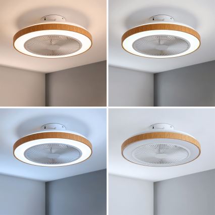 Brilagi - reguliuojamas LED lubinis ventiliatorius LED/38W/230V 3000-6500K Ø 50 cm balta/ruda + nuotolinio valdymo pultas
