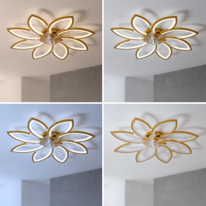 Brilagi - Reguliuojamas LED lubinis ventiliatorius LED/43W/230V 3000-6500K skersmuo 90 cm auksinis + nuotolinis valdymas