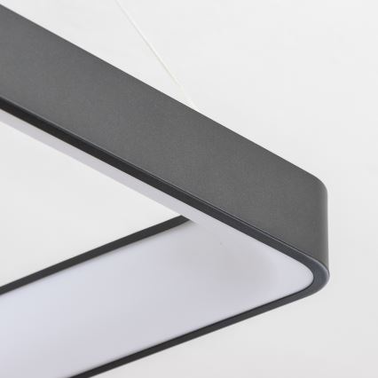 Brilagi - LED reguliuojamas pakabinamas šviestuvas ant laido FALCON II LED/125W/230V 3000-6500K 60x60 cm juodas + nuotolinis valdymas