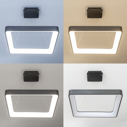 Brilagi - LED reguliuojamas pakabinamas šviestuvas ant laido FALCON II LED/125W/230V 3000-6500K 60x60 cm juodas + nuotolinis valdymas