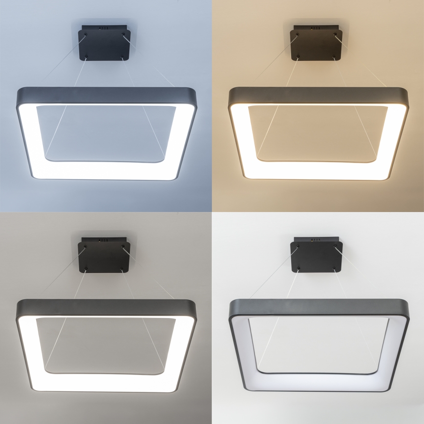 Brilagi - Dimeriuojama liustra ant troselio FALCON II LED/125W/230V 3000-6500K 60x60 cm juoda + nuotolinis valdymas