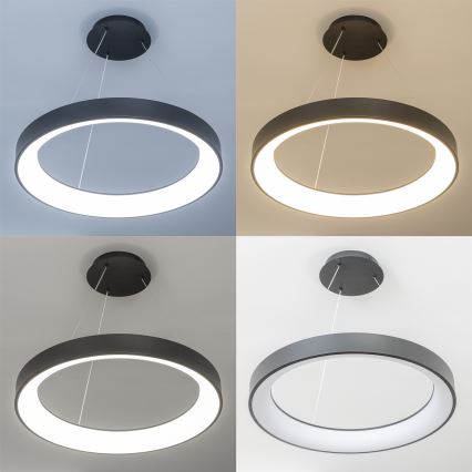 Brilagi - Dimeriuojamas pakabinamas šviestuvas ant laido FALCON II LED/99W/230V 3000–6500 K skersmuo 60 cm juodas + nuotolinis valdymas