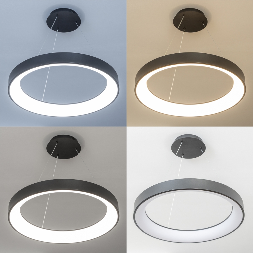 Brilagi - Dimeriuojamas pakabinamas šviestuvas ant laido FALCON II LED/99W/230V 3000–6500 K skersmuo 60 cm juodas + nuotolinis valdymas