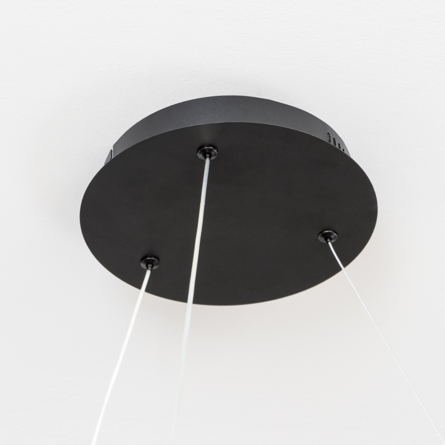 Brilagi - LED dimeriuojamas pakabinamas šviestuvas ant laido FALCON II LED/99W/230V 3000-6500K skers. 60 cm juodas + nuotolinis valdymas