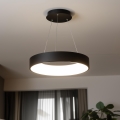 Brilagi - dimeriuojamas LED pakabinamas šviestuvas ant laido FALCON LED/80W/230V 3000–6500K skersmuo 60 cm juoda + nuotolinis valdymas