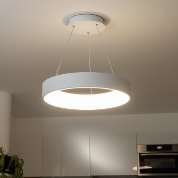 Brilagi - Dimeriuojamas LED pakabinamas šviestuvas ant laido FALCON LED/80W/230V 3000-6500K Ø 60 cm balta + su nuotoliniu pulteliu