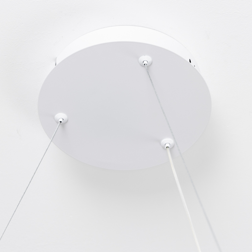 Brilagi - dimeriuojamas LED pakabinamas šviestuvas ant troselio FALCON SLIM LED/42W/230V 3000–6500K skersmuo 50 cm baltas su nuotoliniu pultu