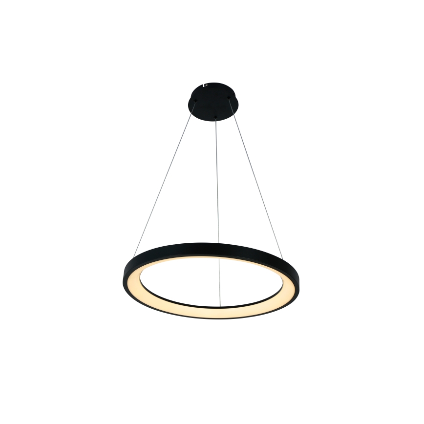 Brilagi - reguliuojamas LED pakabinamas šviestuvas ant troselio FALCON SLIM LED/42W/230V 3000-6500K skersmuo 50 cm juodas + nuotolinis valdymas