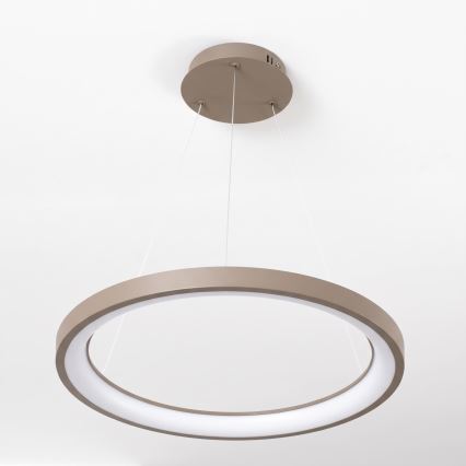 BRILAGI - LED Reguliuojamas pakabinamas šviestuvas ant laido FALCON SLIM LED/42W/230V 3000-6500K Ø 50 cm smėlinė + su nuotolinio valdymo pultu