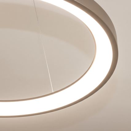 BRILAGI - LED Reguliuojamas pakabinamas šviestuvas ant laido FALCON SLIM LED/42W/230V 3000-6500K Ø 50 cm smėlinė + su nuotolinio valdymo pultu