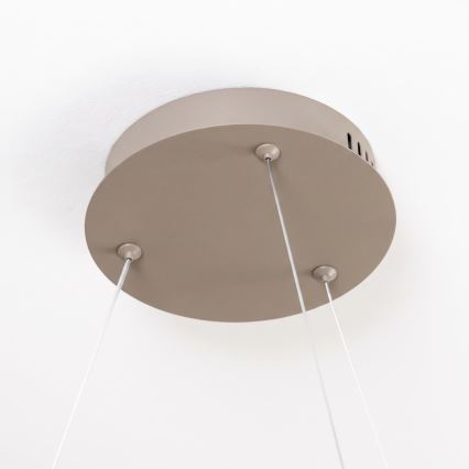 BRILAGI - LED Reguliuojamas pakabinamas šviestuvas ant laido FALCON SLIM LED/42W/230V 3000-6500K Ø 50 cm smėlinė + su nuotolinio valdymo pultu