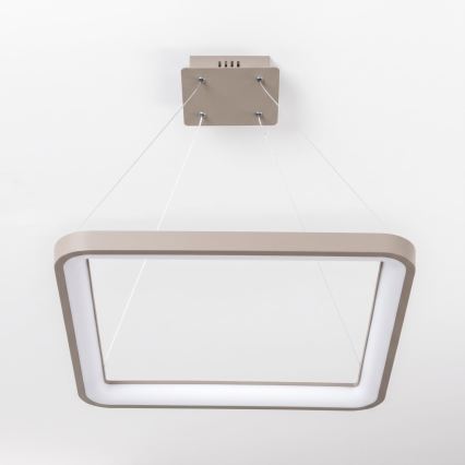 BRILAGI - LED reguliuojamas pakabinamas šviestuvas ant laido FALCON SLIM LED/50W/230V 3000-6500K 50x50 cm smėlio spalvos + nuotolinis valdymas