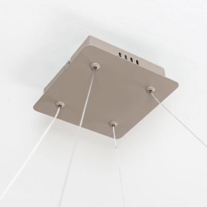 BRILAGI - LED reguliuojamas pakabinamas šviestuvas ant laido FALCON SLIM LED/50W/230V 3000-6500K 50x50 cm smėlio spalvos + nuotolinis valdymas