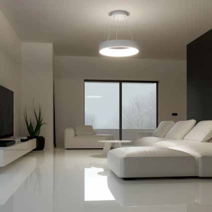 Brilagi - reguliuojamas LED pakabinamas šviestuvas ant laido FALCON LED/40W/230V 3000-6500K skersmuo 45 cm baltas + su nuotoliniu valdymu