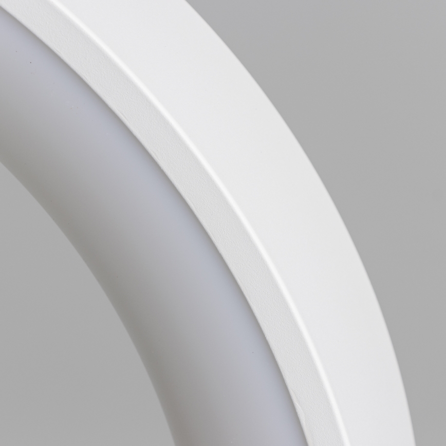 Brilagi - reguliuojamas LED pakabinamas šviestuvas ant laido FALCON LED/40W/230V 3000-6500K skersmuo 45 cm baltas + su nuotoliniu valdymu