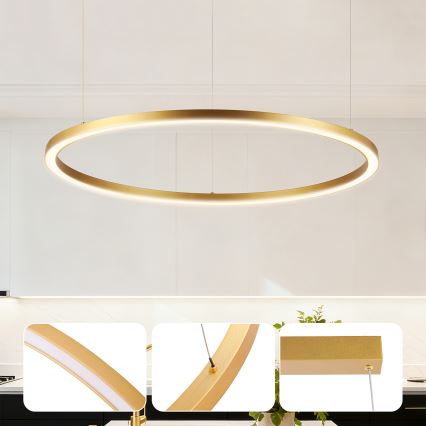 Brilagi - Dimeriuojamas LED pakabinamas šviestuvas ant laido PORTOFINO LED/60W/230V 3000-6000K skersmuo 80 cm auksinis + nuotolinis valdymas