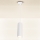 Brilagi - dimeriuojamas LED pakabinamas šviestuvas SELE 1xGU10/6,5W/230V 2700-6500K baltas