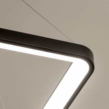 Brilagi - reguliuojamas LED pakabinamas šviestuvas ant laido FALCON SLIM LED/50W/230V 3000-6500K 50x50 cm juodas + nuotolinis valdymas