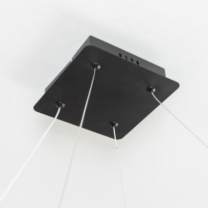 Brilagi - reguliuojamas LED pakabinamas šviestuvas ant laido FALCON SLIM LED/50W/230V 3000-6500K 50x50 cm juodas + nuotolinis valdymas