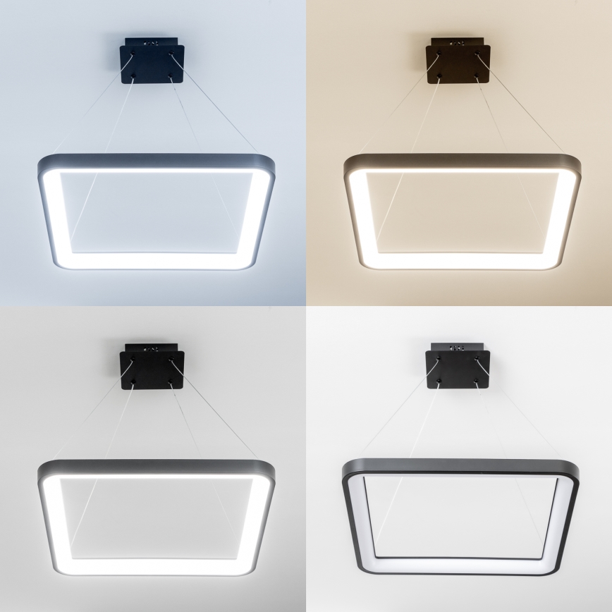 Brilagi - reguliuojamas LED pakabinamas šviestuvas ant laido FALCON SLIM LED/50W/230V 3000-6500K 50x50 cm juodas + nuotolinis valdymas