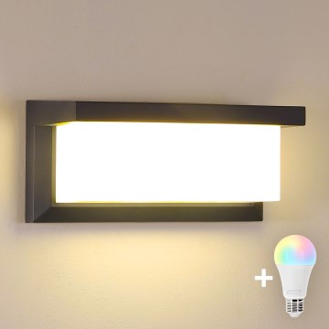 Brilagi - dimeriuojamas LED RGBW lauko sieninis šviestuvas BRICKY 1xE27/9W/230V 2700-6500K antracitas IP54