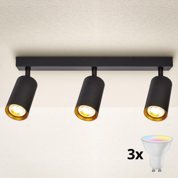 Brilagi - Dimeriuojamas LED RGBW taškinis šviestuvas SELE 3xGU10/6W/230V 3000K juoda/auksinė
