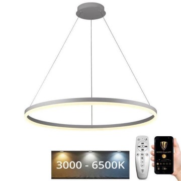 Brilagi - Dimeriuojamas LED šviestuvas ant lyno CIRCLE LED/55W/230V 3000-6500K skersmuo 80 cm balta + nuotolinis valdymas