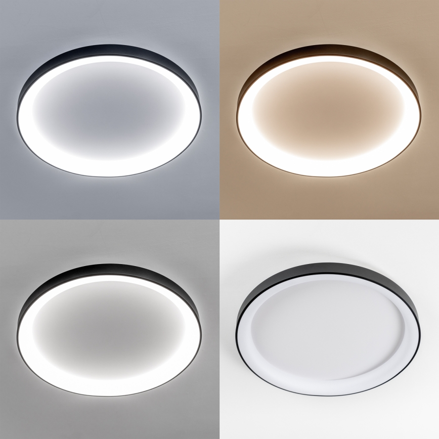 Brilagi - reguliuojamas LED lubų šviestuvas FALCON II LED/108W/230V 3000-6500K Ø 80 cm juodas + nuotolinis pultas