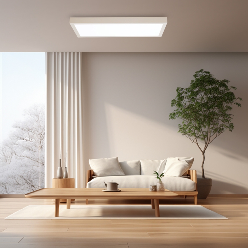 Brilagi - Dimeriuojamas LED vonios kambario lubų šviestuvas FRAME SMART LED/30W/230V 30x60 cm 3000-6000K IP44 baltas + nuotolinio valdymo pultas