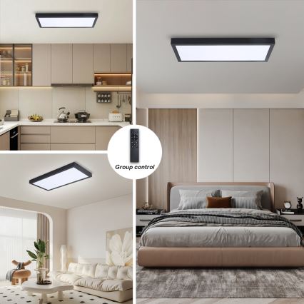 Brilagi - Dimeriuojamas LED vonios kambario lubinis šviestuvas FRAME SMART LED/30W/230V 30x60 cm 3000-6000K IP44 juoda + su nuotoliniu pulteliu