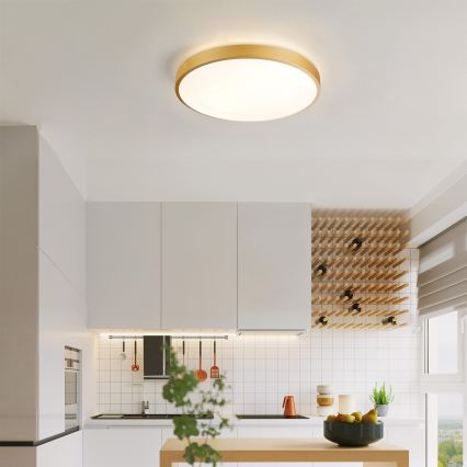 Brilagi - dimeriuojamas LED lubinis šviestuvas GLASS POOL DOUBLE LED/48W/230V 3000-6000K 40 cm auksinis + nuotolinio valdymo pultas