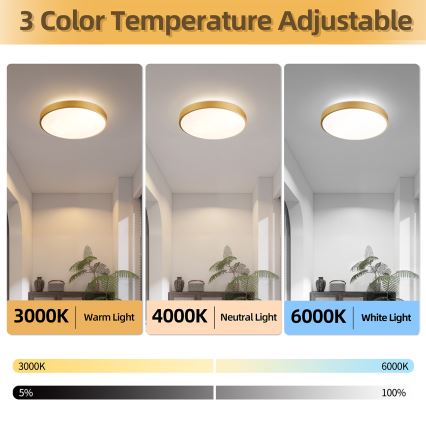 Brilagi - dimeriuojamas LED lubinis šviestuvas GLASS POOL DOUBLE LED/48W/230V 3000-6000K 40 cm auksinis + nuotolinio valdymo pultas