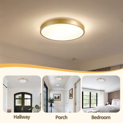 Brilagi - dimeriuojamas LED lubinis šviestuvas GLASS POOL DOUBLE LED/48W/230V 3000-6000K 40 cm auksinis + nuotolinio valdymo pultas