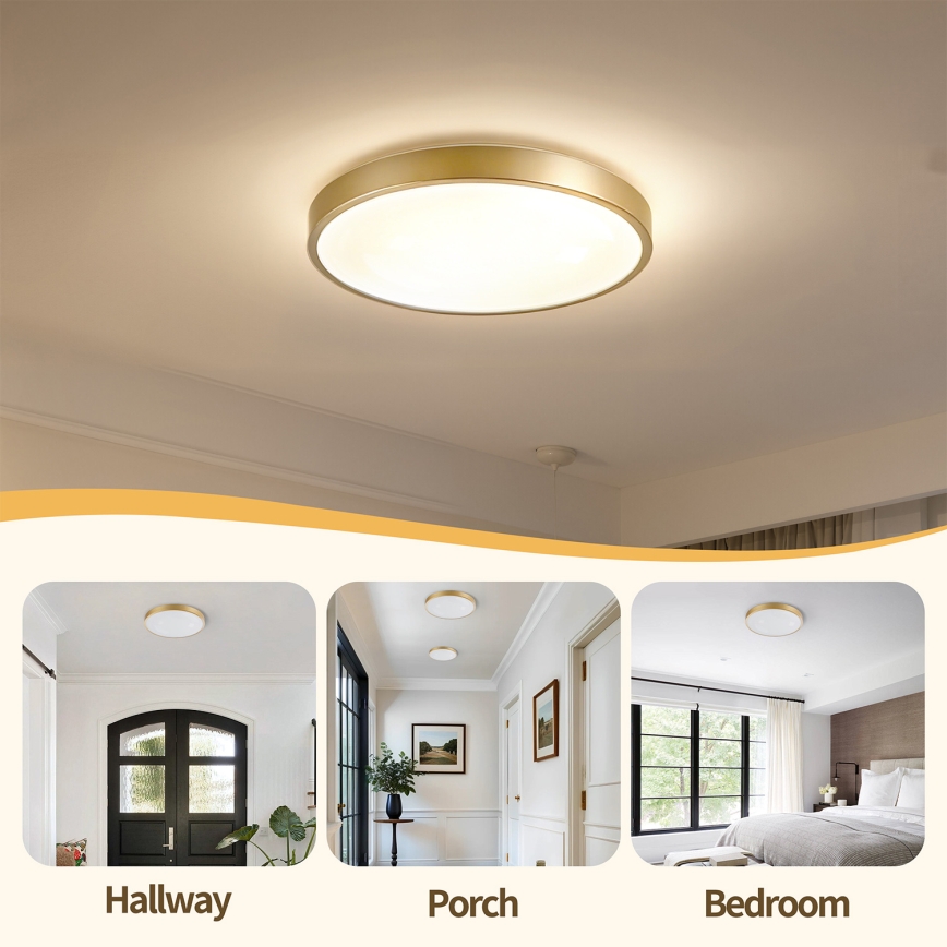 Brilagi - dimeriuojamas LED lubinis šviestuvas GLASS POOL DOUBLE LED/48W/230V 3000-6000K 40 cm auksinis + nuotolinio valdymo pultas