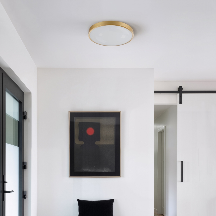 Brilagi - dimeriuojamas LED lubinis šviestuvas GLASS POOL DOUBLE LED/48W/230V 3000-6000K 40 cm auksinis + nuotolinio valdymo pultas