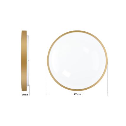 Brilagi - dimeriuojamas LED lubinis šviestuvas GLASS POOL DOUBLE LED/48W/230V 3000-6000K 40 cm auksinis + nuotolinio valdymo pultas