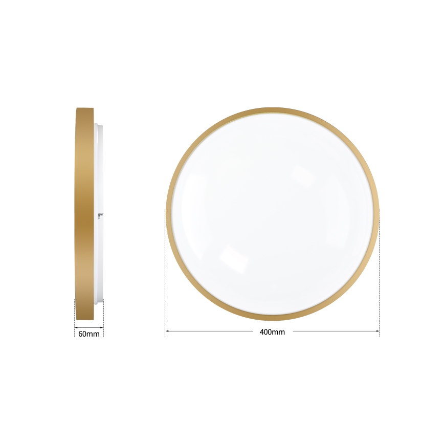 Brilagi - dimeriuojamas LED lubinis šviestuvas GLASS POOL DOUBLE LED/48W/230V 3000-6000K 40 cm auksinis + nuotolinio valdymo pultas