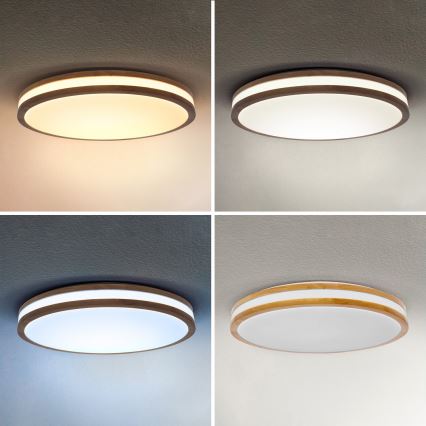 Brilagi - Dimeriuojamas LED lubinis šviestuvas MOLINA LED/60W/230V 3000-6500K ąžuolas, skersmuo 58 cm + nuotolinis valdymas