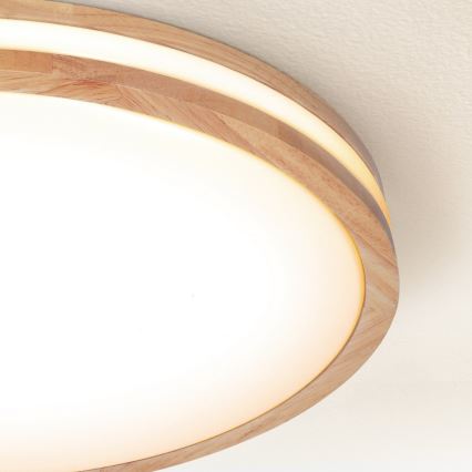 Brilagi - Dimeriuojamas LED lubinis šviestuvas MOLINA LED/60W/230V 3000-6500K ąžuolas, skersmuo 58 cm + nuotolinis valdymas